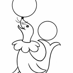 Coloring Pages Free Printable Circus Seal Page Kids Animal Clown Drawings Toddlers Simple Kindergarten