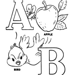 Coloring Pages For Kindergarten Home Sheets Popular