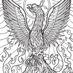 Matchless Mythical Creatures Coloring Pages At Free Printable Phoenix Drawing Adult Color Bird Outline Reaper