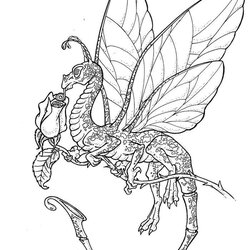 Mythical Creatures Coloring Pages For Adults