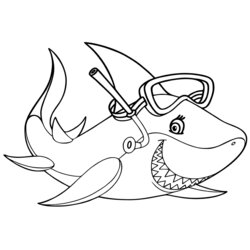 Magnificent Shark Coloring Pages Books Free And Printable Page