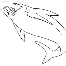 Wonderful Free Printable Shark Coloring Pages For Kids Sheets Template Sea Templates Colouring Creature