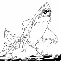 Peerless Printable Shark Coloring Pages Great White Jumping Out Of The Water Page Optimized Compressed