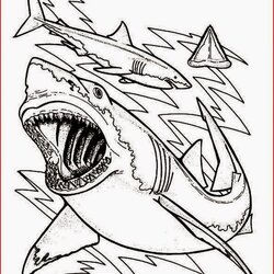 Capital Coloring Pages Shark Free And Printable Sharks Great Color Teeth Sheet Drawing Bulls Kids Chicago