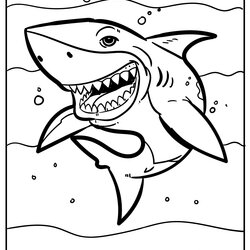 Matchless Shark Coloring Pages