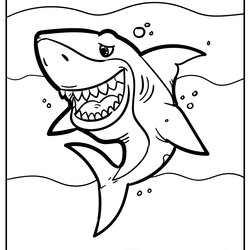 Superior Shark Coloring Pages