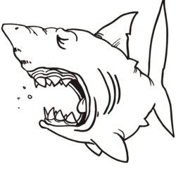 Superb Shark Coloring Page Sleeping Drawing Template Printable Sea Templates Stencil Mouth Pages Open Cartoon