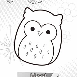 Coloring Pages Printable Hoot