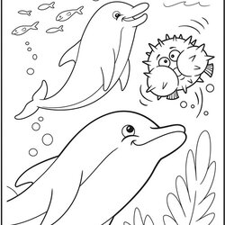 Capital Dolphins Coloring Page Crayola Adults
