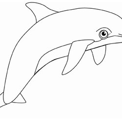 Perfect Dolphin Coloring Pages Printable Free Color Kids Colouring Dolphins Drawing