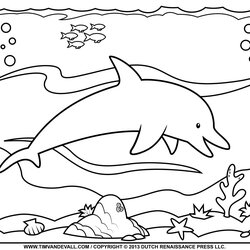 Champion Free Dolphin Printable Coloring Pages Outline Silhouette Dolphins Kids Page