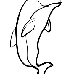 Sterling Free Pictures Of Dolphins For Kids Download Coloring Dolphin Pages Library