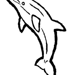 Legit Dolphin Coloring Pages Color Dolphins Outline Printable Clip Print Line Spinner Jumping Cartoon Baby