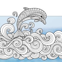 Admirable Happy Dolphins Free Adult Coloring Book Page Pages Dolphin Books Colouring Color Print Drawing