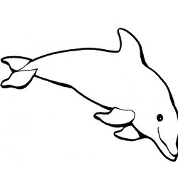 Spiffing Printable Dolphin Coloring Pages Dolphins