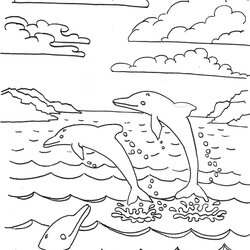 Super Coloring Pages For Kids By Mr Dolphins Page Copy And Print Dolphin Adult Printable Adults Sunset