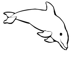 Supreme Dolphin Coloring Pages Baby Cute Dolphins Train Bowling Mermaid Clip Library Template Presentations