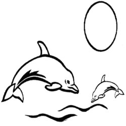 Very Good Coloring Pages Of Dolphins Whales Dolphin Page
