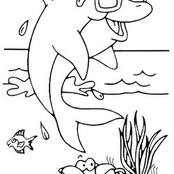 Great Dolphin Coloring Pages To Download Dolphins Kids Color Animals For