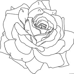Matchless Rose Flower Cute Coloring Page Printable Pages Print Book