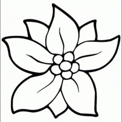 Champion Cute Flower Coloring Pages At Free Printable Color