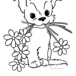 Worthy Flower Coloring Pages To Print At Free Printable Cute Spring Color