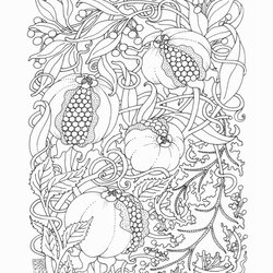 Exceptional The Coloring Pages For Adults Simple Book That You Can Find On Complex Adult Colouring Print