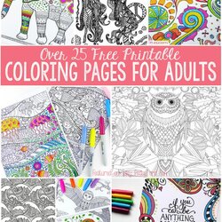 Very Good Simple Coloring Pages For Adults Easy Over Free
