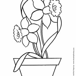 Smashing Easy Coloring Pages Free Printable Daffodils In Pot Kids Fun Shapes Activity Recognize Everyday