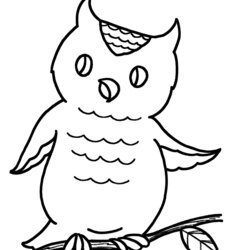 Cool Easy Coloring Pages Best For Kids Owl
