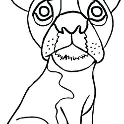 Superlative King Boo Coloring Pages At Free Printable Pug Cute Print Mario Baby Library Color Comments