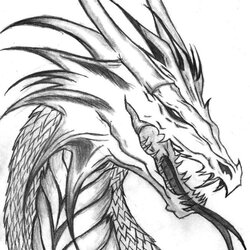 Superb Coloring Page Free Of Dragons For Adults Pages