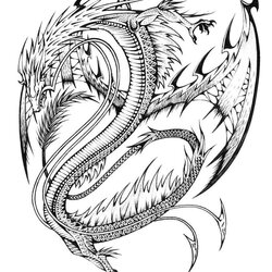 Champion Print Adults Difficult Dragons Coloring Pages Space Dragon Printable Sheets Cool Adult Kids Choose