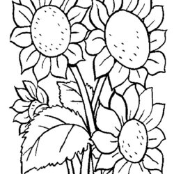 May Coloring Pages To Download And Print For Free January Summer Fun