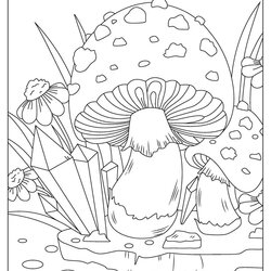 High Quality Coloring Pages Of Mushrooms Mushroom Illustrations Page