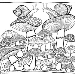 Supreme Mushrooms Coloring Pages Home Colouring Wonderland