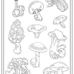 Admirable Mushrooms Single Kids Coloring Pages For Children
