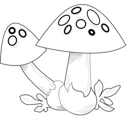 Cool Mushroom Coloring Pages Free Printable For Kids Mushrooms Page
