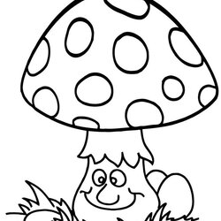 Superlative Top Fascinating Mushrooms Species Coloring Pages Cute And Funny Mushroom Activity Page
