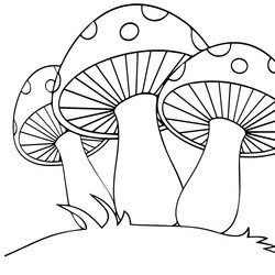 Out Of This World Mushroom Coloring Pages Books Free And Printable Set Cat Page