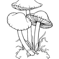 Outstanding Mushrooms Coloring Pages Download And Print Printable