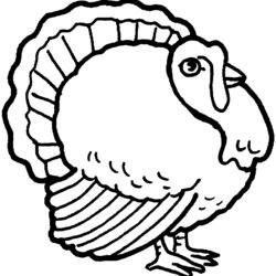 Superb Thanksgiving Day Coloring Pages For Printable Free Turkey Tom Turkeys Color Sheets Interested Tag