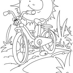 Perfect Free Summer Coloring Pages For Preschoolers At Bicycle Bike Kids Sheets Sun Printable Print Color