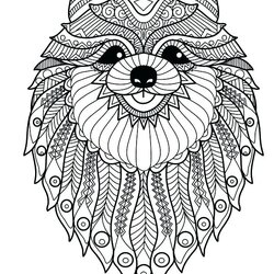 Outstanding Stress Relief Coloring Pages Printable At Free