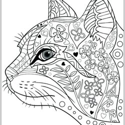 Brilliant Stress Relief Coloring Pages For Adults At Free Pattern Printable Cat
