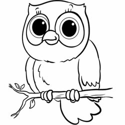 High Quality Baby Owl Coloring Pages To Print Easy For Kids
