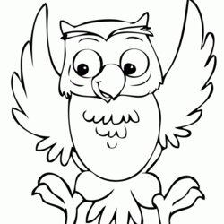 Superior Owl Coloring Pages For Kids Cute Print Printable Sheets Page