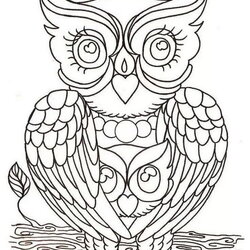 Wonderful Cute Owls Coloring Pages Home Book Popular Kids