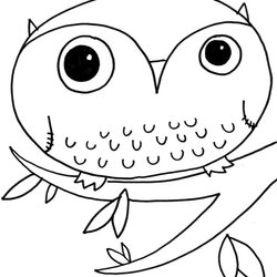 Splendid Cute Owl Coloring Pages At Free Printable Girl Owls Kids Library Comments Book