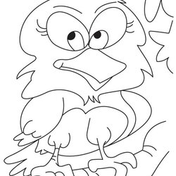 Eminent Cute Owl Coloring Pages Home Popular Library